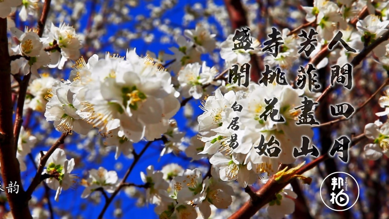 生活在仙境般的“花花世界”，這800萬(wàn)人卻視而不見(jiàn)！