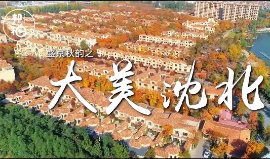 艷遇沈北之秋，無(wú)風(fēng)自撩人