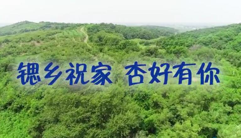 來(lái)呀 來(lái)呀 來(lái)呀丨祝家“鍶”杏真的甜 ，這個(gè)周末組團來(lái)摘呀