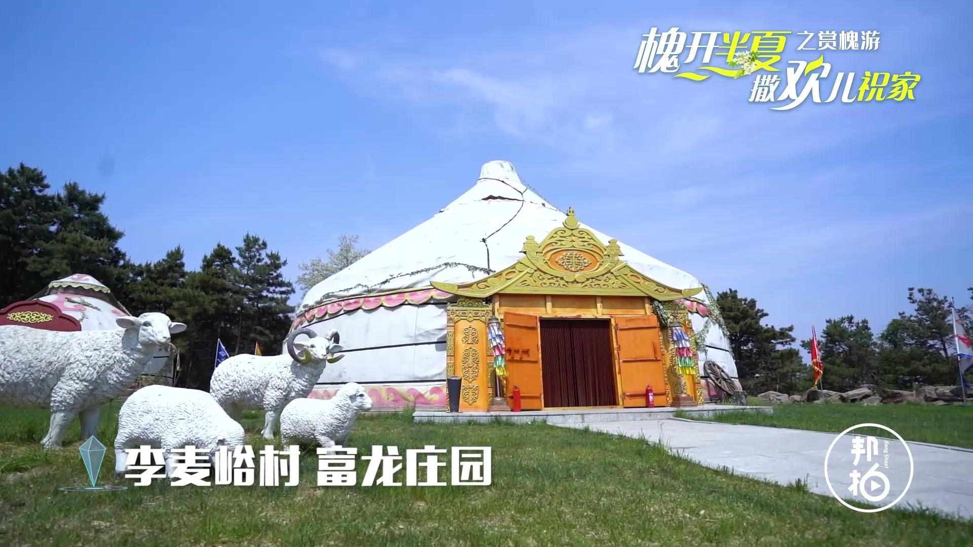 “槐開(kāi)半夏”丨渾南祝家的美等你來(lái)邂逅～