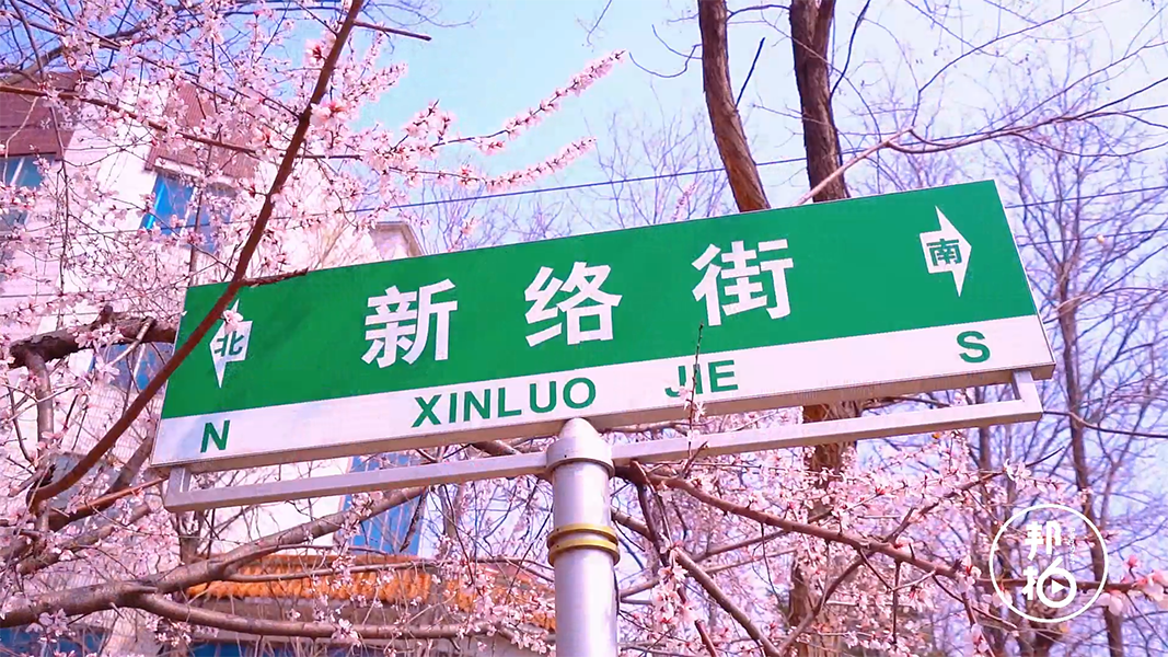 航拍渾南區新絡(luò )街桃花