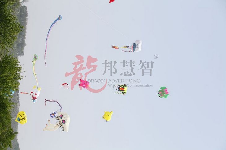 single-image